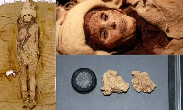 Misteri Keju Kuno Terpecahkan: Penemuan Potongan Keju Tertua di Mumi China!