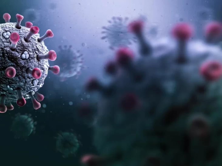 Virus Corona Terbaru Mengkhawatirkan Para Ahli Kesehatan