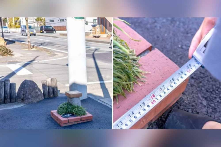 "Ini Dia Ukuran Taman Terkecil di Dunia yang Dibuat oleh Jepang, Luar Biasa!"