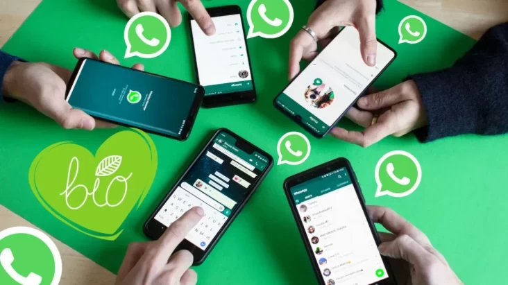 WhatsApp Siapkan Terobosan Terkini untuk Panggilan Suara dan Video

WhatsApp Siapkan Fitur Baru untuk Panggilan Suara dan Video

WhatsApp Siapkan Kejutan Terbaru untuk Panggilan Suara dan Video

WhatsApp Siapkan Inovasi Teranyar untuk Panggilan Suara dan Video

WhatsApp Siapkan Terobosan Terhangat untuk Panggilan Suara dan Video

WhatsApp Siapkan Fitur Canggih untuk Panggilan Suara dan Video

WhatsApp Siapkan Kejutan Terkini untuk Panggilan Suara dan Video

WhatsApp Siapkan Inovasi Terhangat untuk Panggilan Suara dan Video

WhatsApp Siapkan Fitur Terbaru untuk Panggilan Suara dan Video