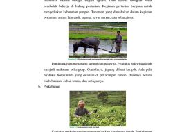 Ketika Bahan Alam Lokal Menggerakkan Ekonomi Nasional dan Global