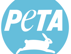 Peta Karang dan Lamun Nasional 2025 Dilaunching Pemerintah Indonesia