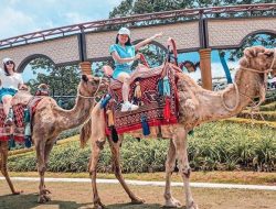 5 Tempat Wisata Seru di Batu, Cek Harga Tiketnya!