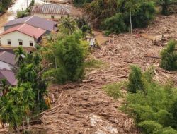 Menteri LH Tinjau Kayu Gelondongan Terendam Banjir Sumatra