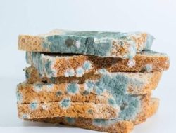 Perbedaan Tanda “Expired” dan “Best Before” pada Kemasan Makanan