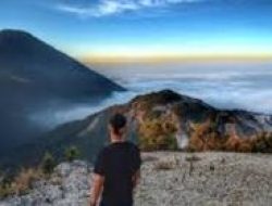 Papandayan: Surga Pendaki Pemula dengan Kawah, Edelweiss, dan Hutan Mati