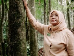 Kisah Rosita Membangun Hutan Organik di Lahan Kritis Megamendung