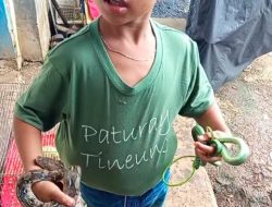 Kisah Dika, Bocah Pencari Ular di Bandung