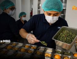 Kadis Kesehatan Bulukumba: SLHS Tetap Berjalan, Selain Halal dan Limbah Dapur MBG yang Berbeda Wewenangnya