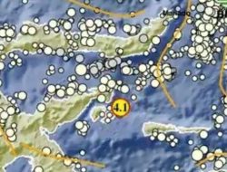 Gempa 5 km di Banggai Sulawesi Tengah, Update BMKG