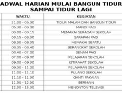 Jadwal Kapal PELNI KM Tilongkabila Januari 2026: Rute dan Harga Terbaru