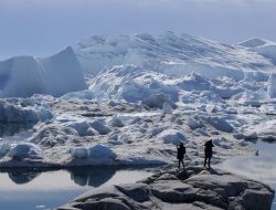 Greenland Jadi Incaran Trump, Memicu Ketegangan di Arktik