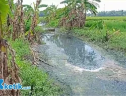 IPAL Komunal Pabrik Tahu Jogoroto Jombang Disoroti Warga