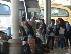 Jadwal dan Harga Tiket Bus AKAP Bali ke Jawa Senin (19/1)