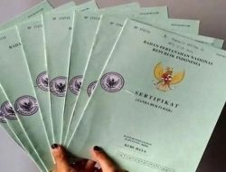 Surat Tanah Tak Berlaku Lagi Mulai 2026, Ini Cara Mengurus SHM dari Petuk D, Girik, dan Letter C