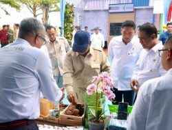 Potensi Ekonomi Global, Presiden Prabowo Minta Pengolahan Gambir Dipercepat