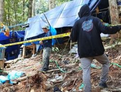 Dinas ESDM Pastikan Hanya Satu Tambang Emas Berizin di Papua Barat, Lainnya Ilegal
