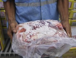 Permintaan APPDI: Impor Daging Harus Sama untuk Swasta dan BUMN