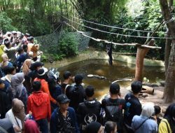 14 Vendor Didukung, Kemenhut Ambil Alih Pakan Satwa Bandung Zoo