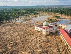Langkah Hukum Mengancam Usai Prabowo Cabut Izin 28 Perusahaan Penggundul Hutan
