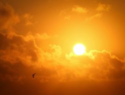 7 fakta menarik tentang lampu tenaga surya, ramah lingkungan dan hemat biaya