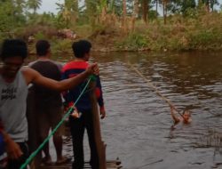 Terungkap Identitas Korban Tenggelam di Sungai Paguyaman, Bocah 9 Tahun