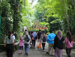 Pengunjung Bandung Zoo Capai 60 Ribu, Pecahkan Rekor Libur Lebaran