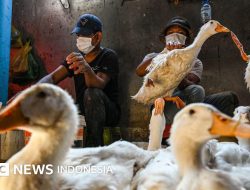 Cirebon Waspada Flu Super, Masyarakat Diminta Tidak Lengah dan Perhatikan Gejalanya