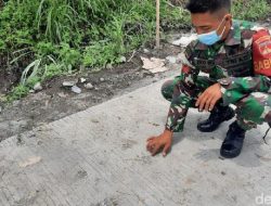 Warga Semanu Temukan Jejak Kaki Raksasa, Diduga dari Macan Tutul