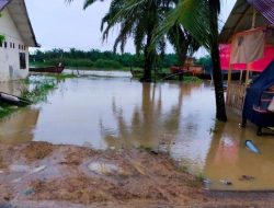 Wilayah pesisir Aceh Tamiang kembali terendam banjir sungai meluap