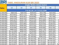 Syarat KUR BRI 2026: Pinjaman hingga Rp500 Juta, Cicilan Ringan, Bunga Murah