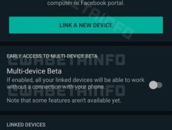 Pengguna Bisa Gunakan 2 Akun WhatsApp di Satu Ponsel, Ini Penjelasannya