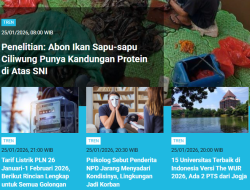 Tren Populer: Kandungan Protein Abon Ikan Sapu-Sapu | Harga Token Listrik Pekan Ini