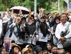 Daftar 16 Organisasi PPPK, Gambaran Alih Status Paruh Waktu ke Penuh