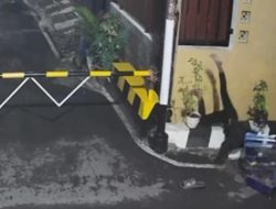 Pencurian Burung di Semarang Gagal Total: Pelaku Tersesat, Burung Kembali ke Pemilik