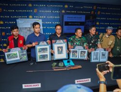 Pencarian Macan Tutul Jawa Korban Perburuan di Sanggabuana Dihentikan