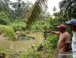 Benda Terlarang Dibuang ke Sungai Tanahbumbu, Picu Buaya Keluar Sarang