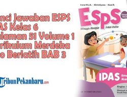 Kunci Jawaban IPAS Kelas 6 Halaman 77 Kurikulum Merdeka, Ayo Mengamati
