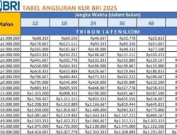 Rp3,83 Triliun KUR Bengkulu 2026: Cara Pengajuan dan Persyaratan
