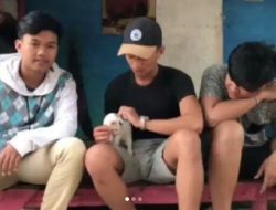 Lansia Tendang Kucing, Kini Menyesal dan Minta Maaf