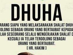 Niat dan cara sholat dhuha dua rakaat lengkap dengan keutamaannya
