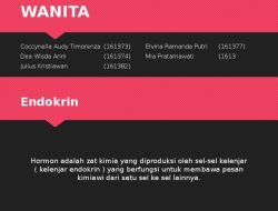 Hormon Perempuan Pengaruhi Kulit dan Rambut, Bukan Hanya Reproduksi