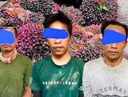 7 Motor Tabrak Istri Anak di Telanaipura