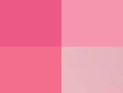 Jenis-Jenis Warna Pink, Mulai dari Baby Pink hingga Fuchia