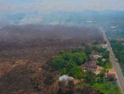 Lebih dari 5.000 Titik Api Muncul di Gambut Meski Musim Hujan Berlangsung