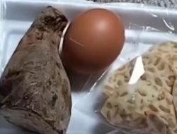 Wabup SPPG Blora Janjikan Perbaikan Menu Usai Isu Ubi MBG Busuk Viral