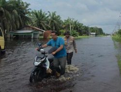 Titik Berbahaya di Jalintim Pelalawan, Pemudik Diminta Waspada