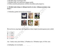 60 Soal Ujian Biologi Kelas 12 2026 dan Kunci Jawaban ASAJ, US SMA MA