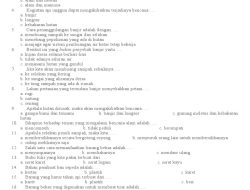 Paket Soal Ulangan PLH Kelas 6 Semester 2 & Jawaban Ujian Sekolah