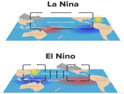 Waspadai 3 Risiko Gelombang Panas El Niño, Industri Asuransi Perlu Siap Siaga